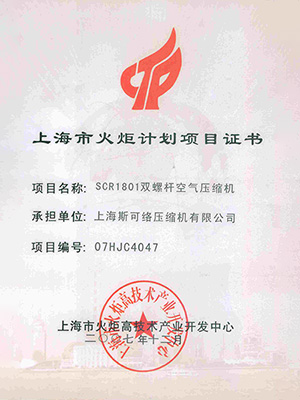 Shanghai Torch Program Project Certificate