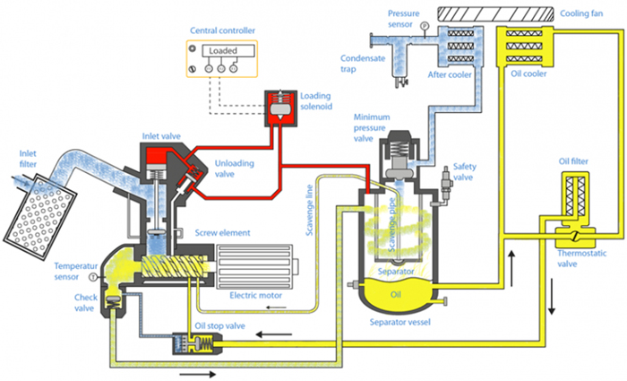 Rotary screw discount air compressor